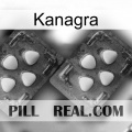 Kanagra 14